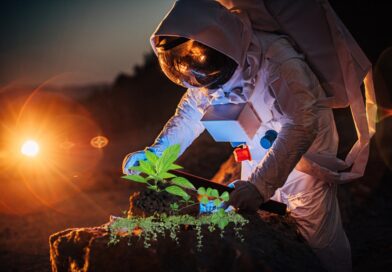 Agriculture on Mars: A Future Possibility