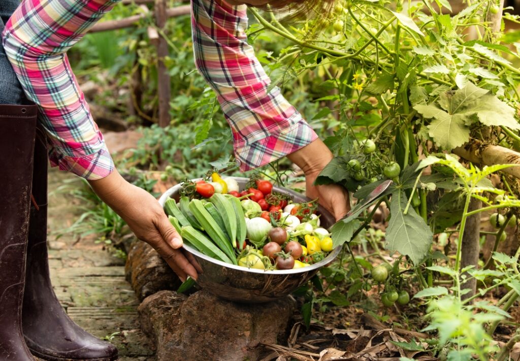 The Benefits of Organic Farming