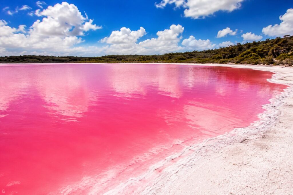 Weird-Facts-Around-the-World-That-Sound-Fake-But-Are-Real